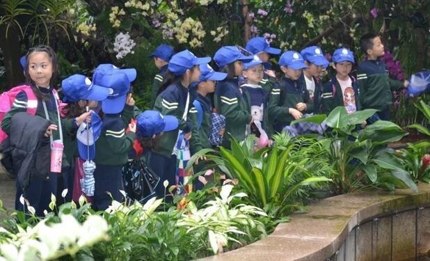 上海植物园.jpg