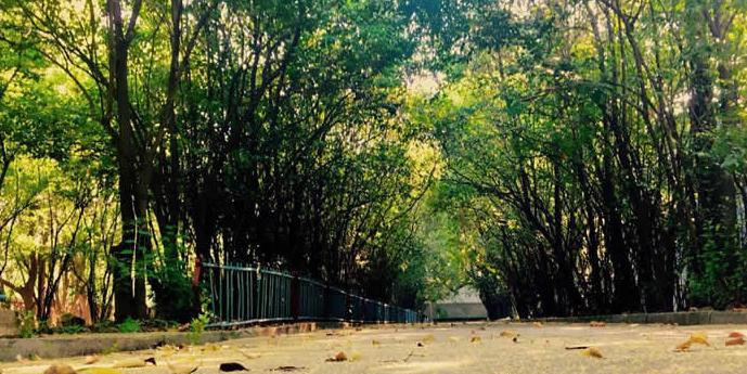 截图20210224160030