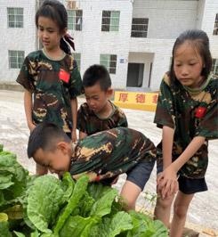 军事夏令营14天营