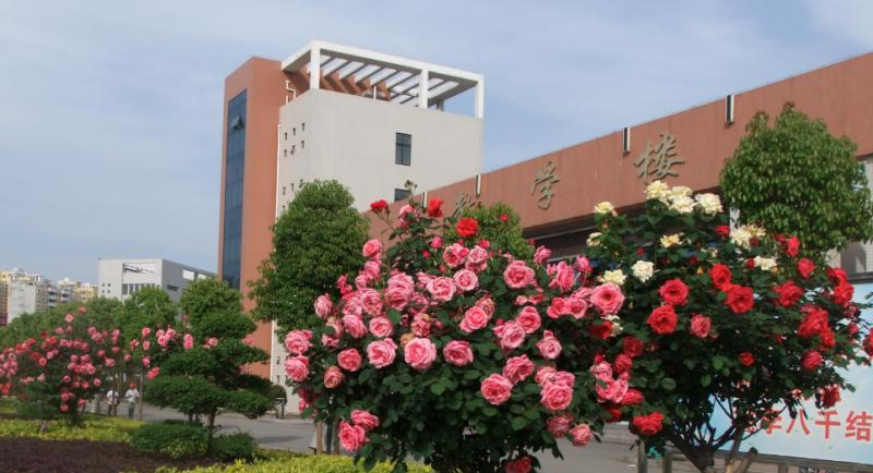 南阳幼儿师范学校2021年招生办