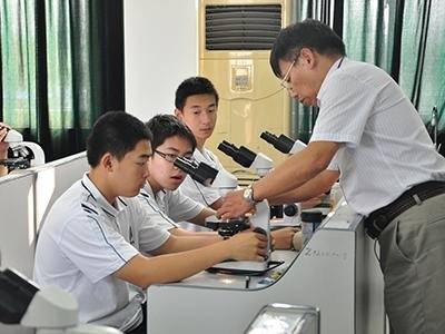 领科教育上海校区