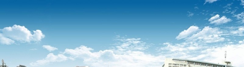 安徽经济管理干部学院2019年单招录取分数线