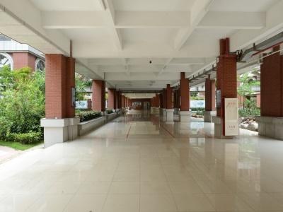 广东华侨中学国际课程