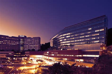 韩国汉城大学国际本科项目