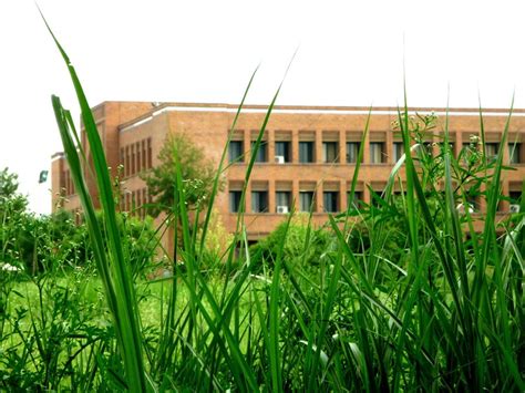 巴利雷利亚A+D高等艺术学院本科、硕士项目