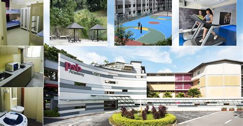 新加坡PSB学院国际本科预科课程