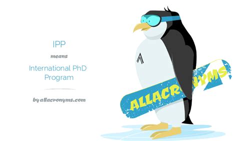 IPP国际高校预科课程