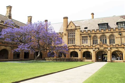 悉尼大学