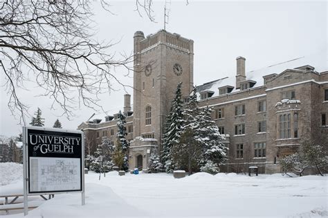 圭尔夫大学