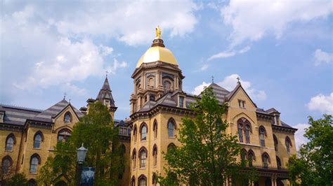 圣母大学