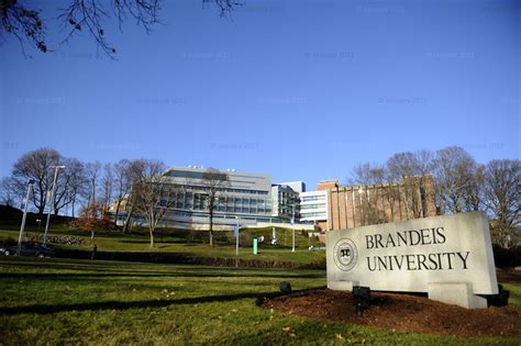 布兰迪斯大学