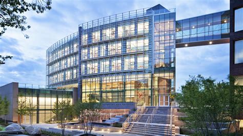 纽约州立大学石溪分校