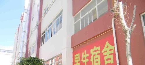 20110429234205-1050708047