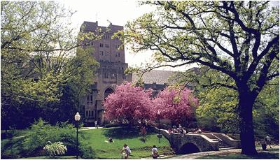 校园风景（二）