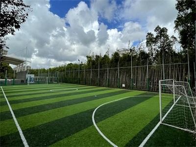 上师附二外日本国际高中课程