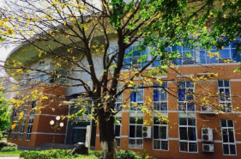 成都冠城实验学校IEC国际教育中心