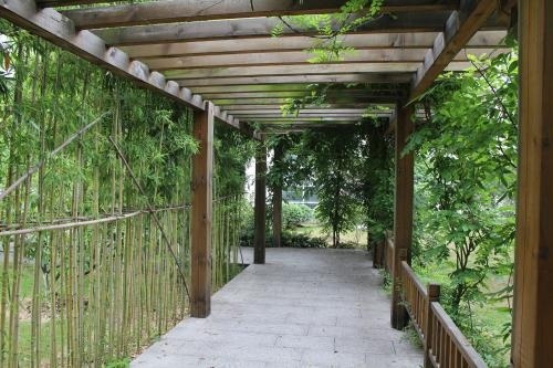 西安交通大学苏州附属中学美国课程中心