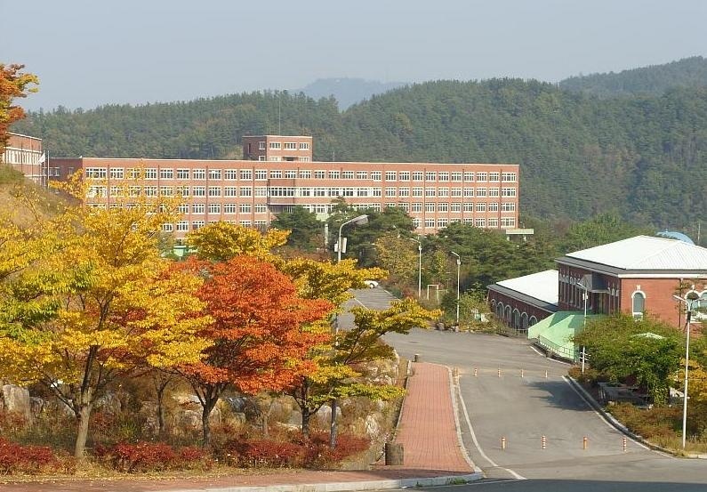 加耶大学