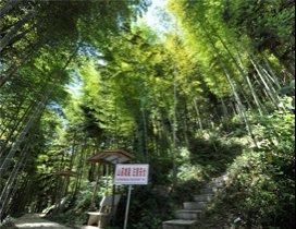 武汉小伙伴教育