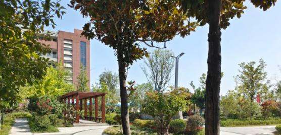 芜湖科技工程学校