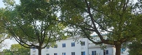 奉化区工贸旅游学校网站