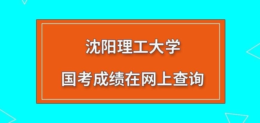 沈阳理工大学在职研究生国考的成绩是在网上查询吗