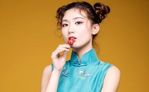 国家政务礼仪指导师