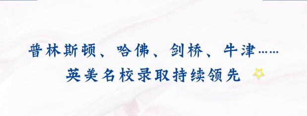 笨不笨