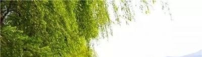 凤庆县职业高级中学