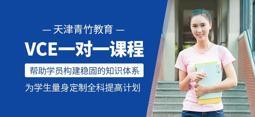 VCE一对一课程