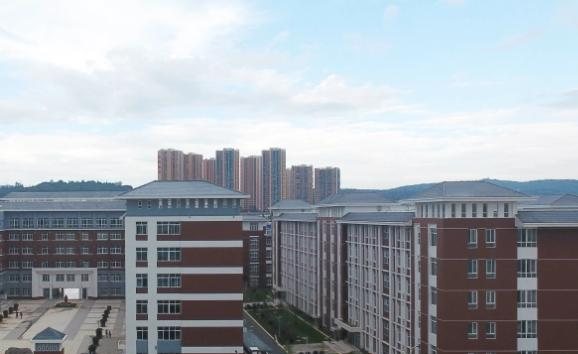 截图_20211116125530