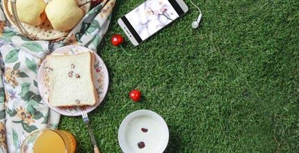 强化升华、主导新绽放