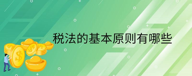 税法的基本原则有哪些