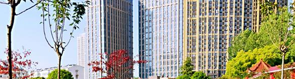 合肥飞跃学校2020年有哪些专业 