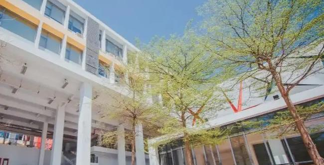 广州美国人国际学校小学部靠谱吗2