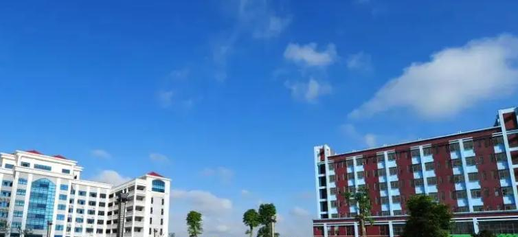 深圳奥斯翰外语学校初中部2023年课程体系2