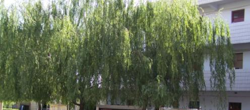 郑州理工中等专业学校地址在哪里