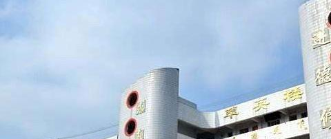 四川仁寿清水中学