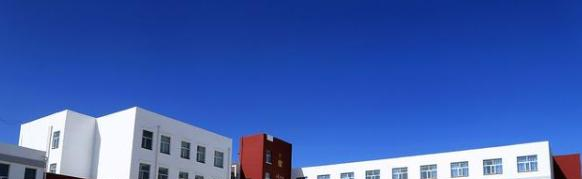 上海帕丁顿双语学校小学部网站