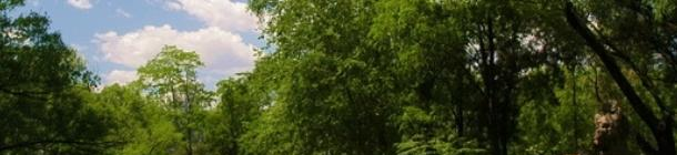 北京潞河国际教育学园