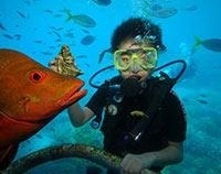 前往鬼斧神工的大洋路观光