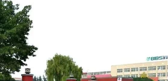 成都青苗国际双语学校小学部