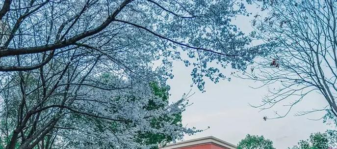 杭州英特外国语学校