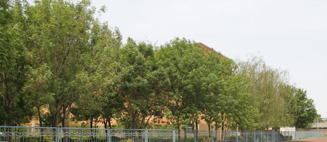 沧州市职业技术教育中心2022年有哪些专业