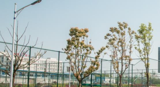 安顺职业技术学院
