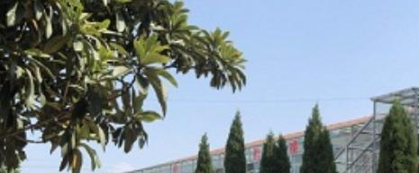 武汉康华中等职业艺术学校