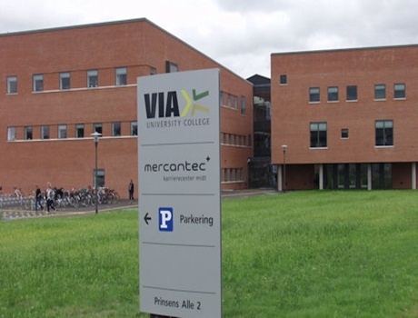 VIA大学