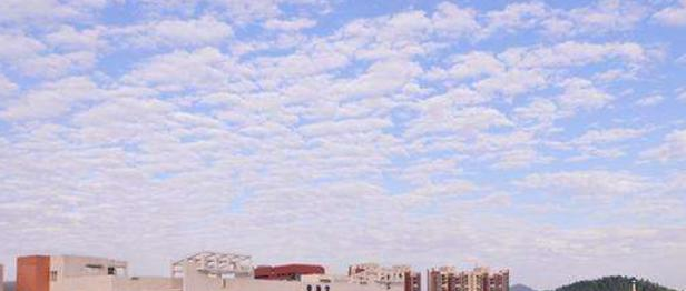 广州第二中学2021年招生简章