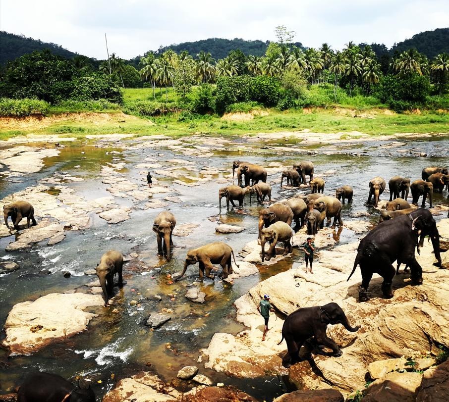 dhsz-2-meng-1b4aa2-2x