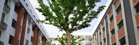 江苏奔牛高级中学2021年招生计划